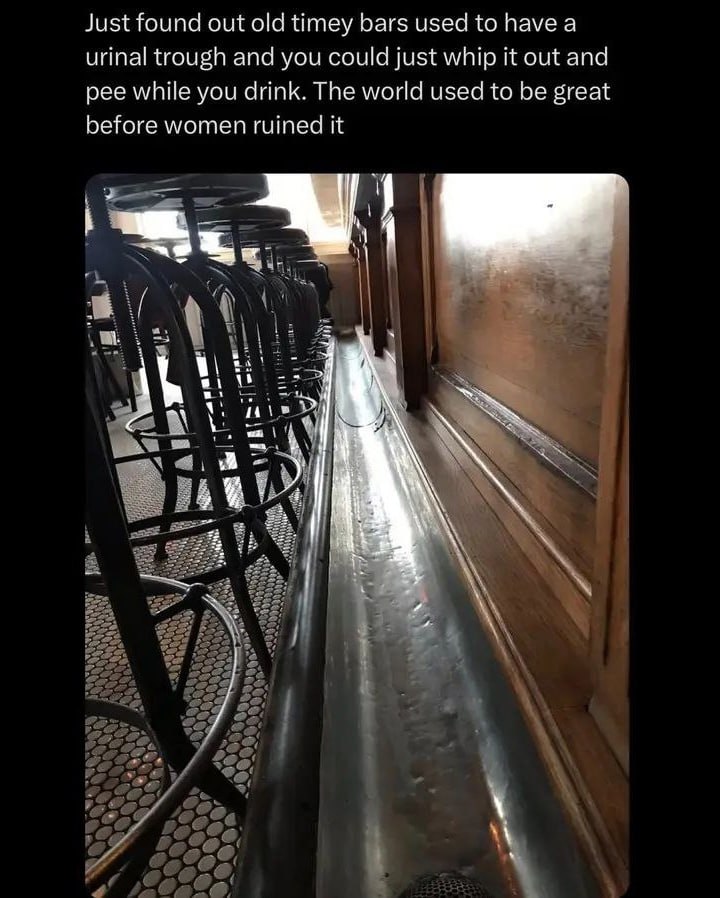 Just found out old timey bars used to have а urinal trough and you could just whip it out and pee while you drink. The world used to be great before women ruined it