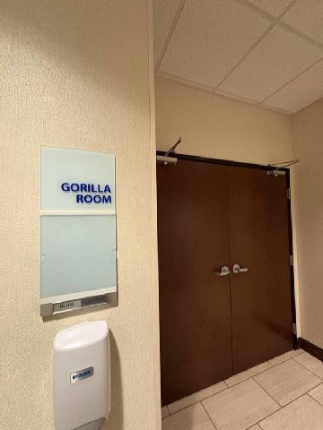 GORILLA ROOM