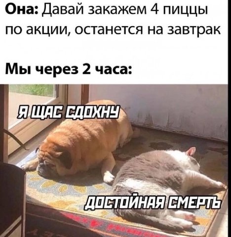 Она: Давай закажем 4 пиццы по акции, останется на завтрак Мы через 2 часа: