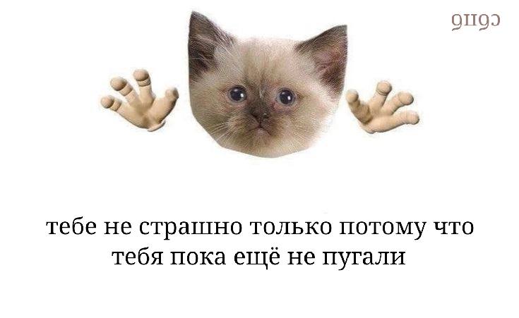 a a4 тебе не страшно только потому что тебя пока не пугали