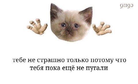 a a4 тебе не страшно только потому что тебя пока не пугали