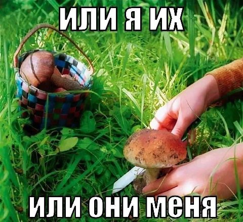 Открытка