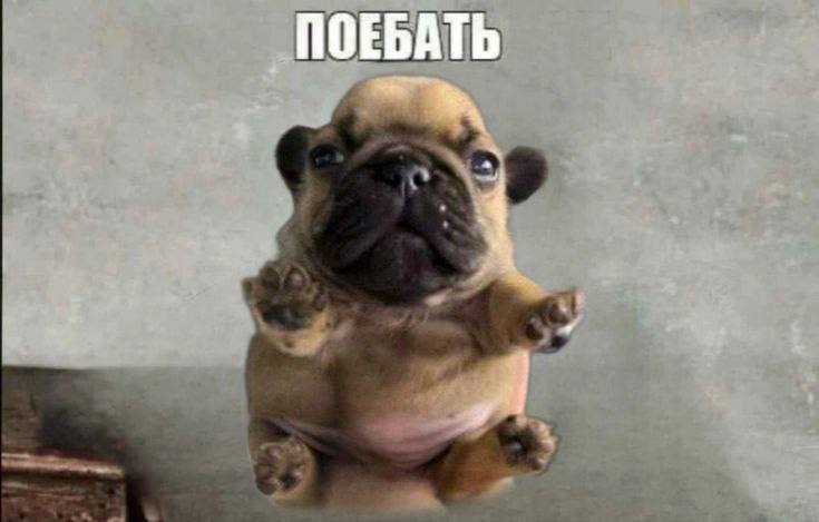 ПОЕБАТЬ