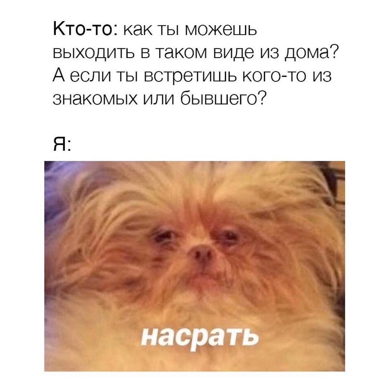 Кто-то: как ты можешь выходить в таком виде из дома? А если ты встретишь кого-то из знакомых или бывшего? Я насрать
