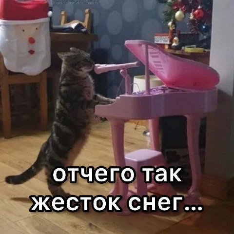 отчего так жесток снег...