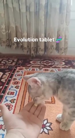 Evolution tablet