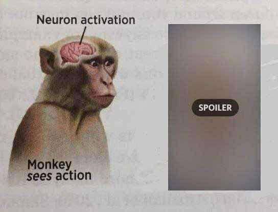 Neuron activation SPOILER action