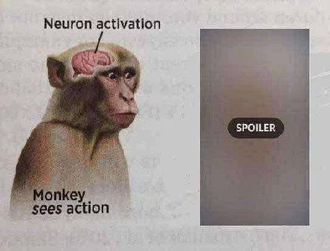 Neuron activation SPOILER action