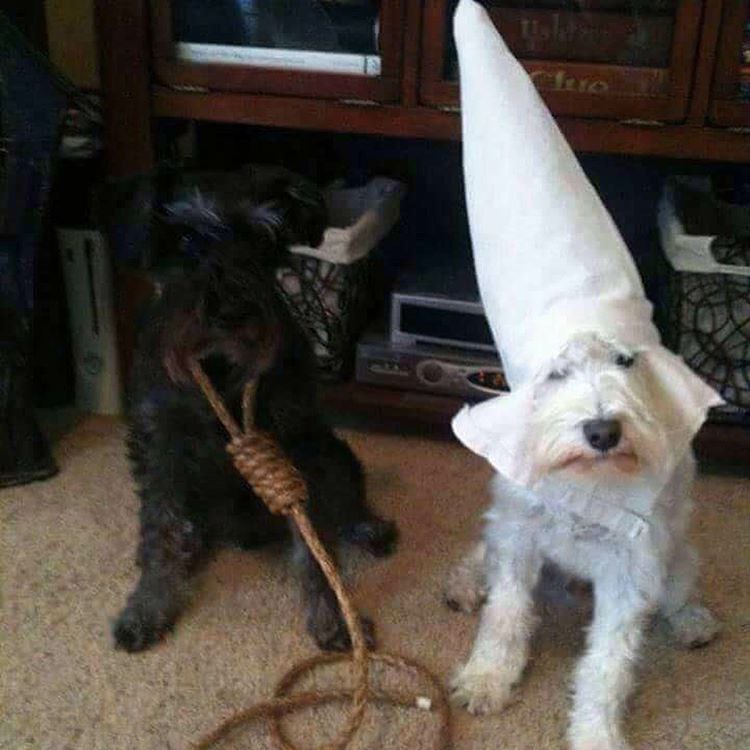a к. у у