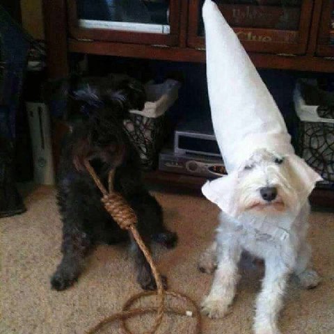 a к. у у