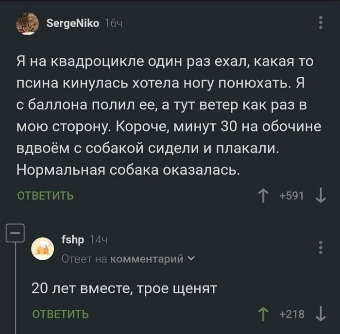 SergeNiko Я на квадроцикле один раз ехал, какая то псина кинулась хотела ногу понюхать. Я с баллона полил ее, а тут ветер как раз в мою сторону. Короче, минут 30 на обочине вдвоём с собакой сидели и п