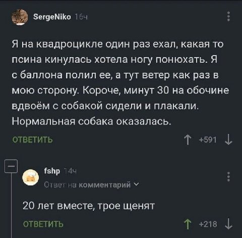 SergeNiko Я на квадроцикле один раз ехал, какая то псина кинулась хотела ногу понюхать. Я с баллона полил ее, а тут ветер как раз в мою сторону. Короче, минут 30 на обочине вдвоём с собакой сидели и п