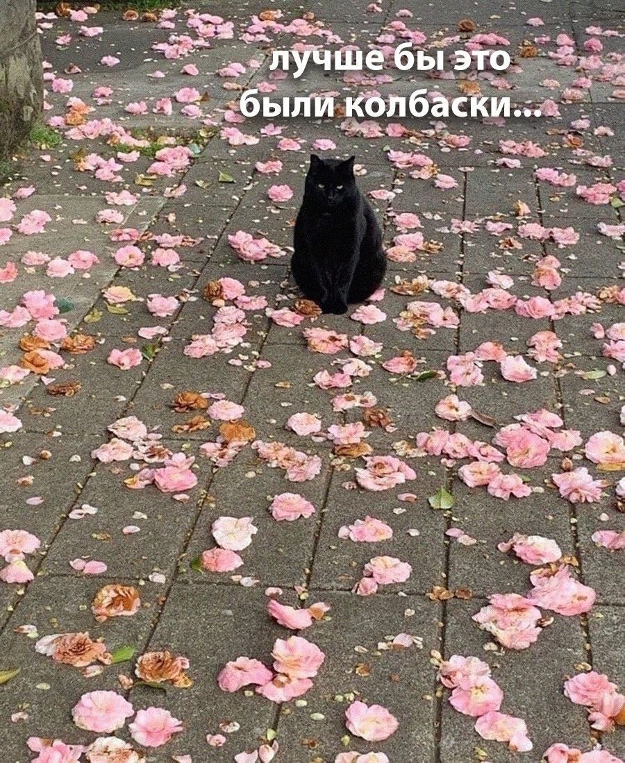 лучш