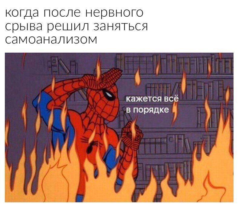 когда после нервного срыва решил заняться самоанализом кажется всё в порядке
