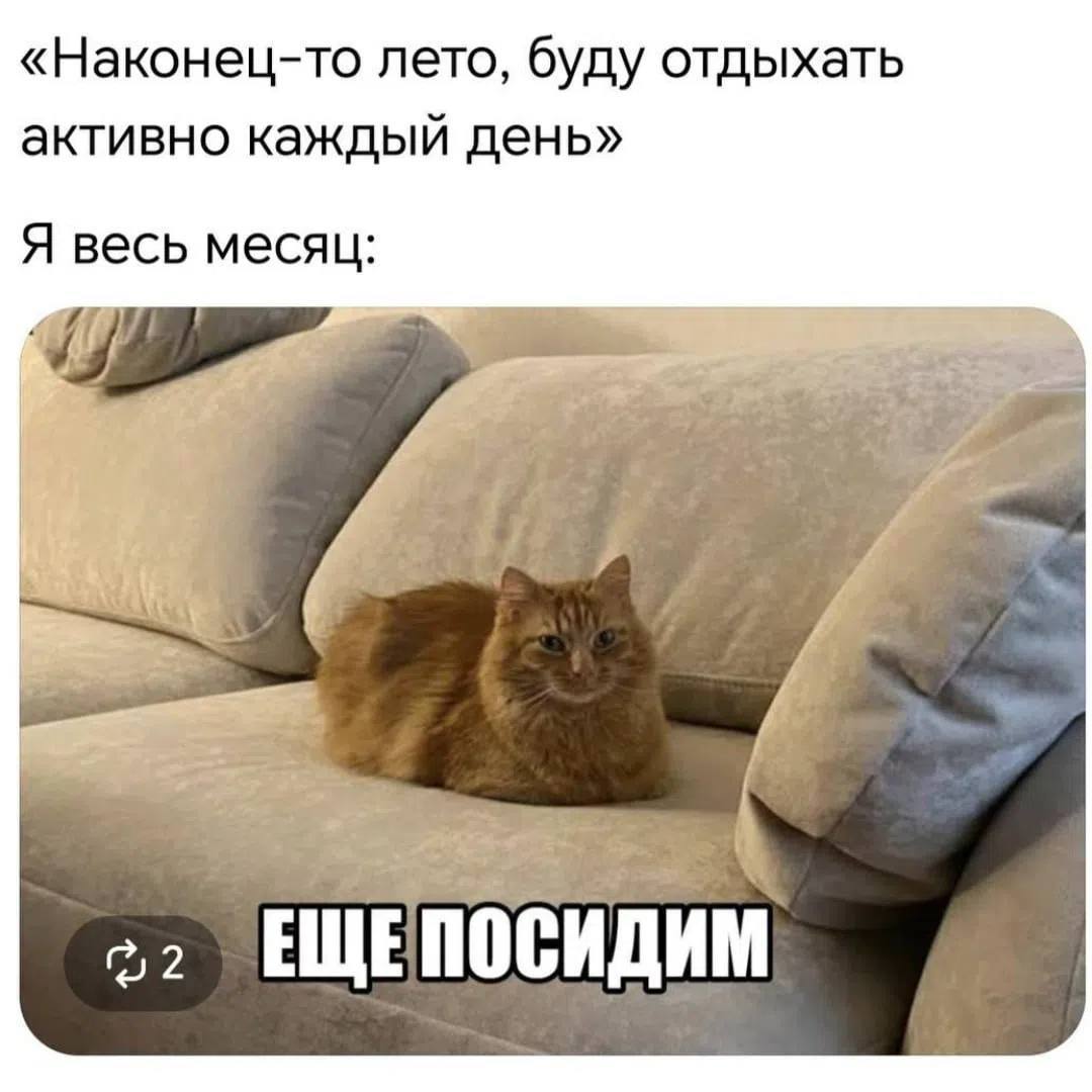 «Наконец-то лето, буду отдыхать активно каждый день» Я весь месяц: А 22 ЕЩЕПОСИДИМ