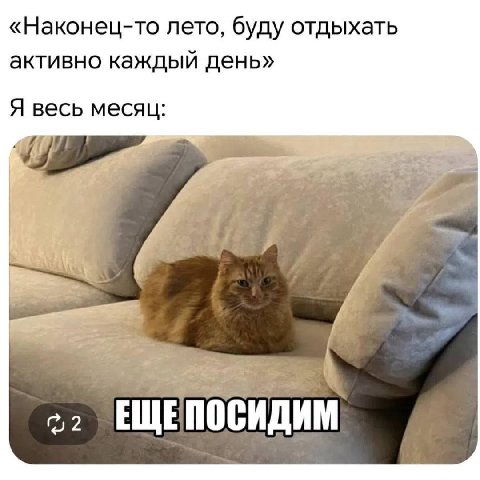 «Наконец-то лето, буду отдыхать активно каждый день» Я весь месяц: А 22 ЕЩЕПОСИДИМ