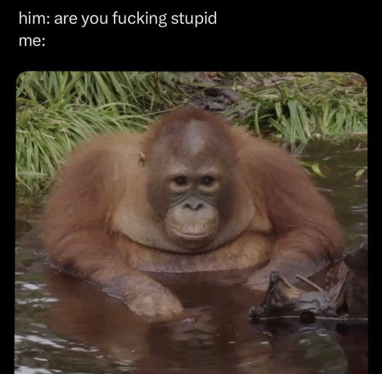 him: are you fucking stupid me: