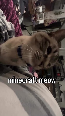 мем
