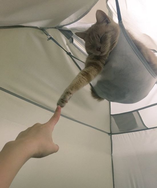 А