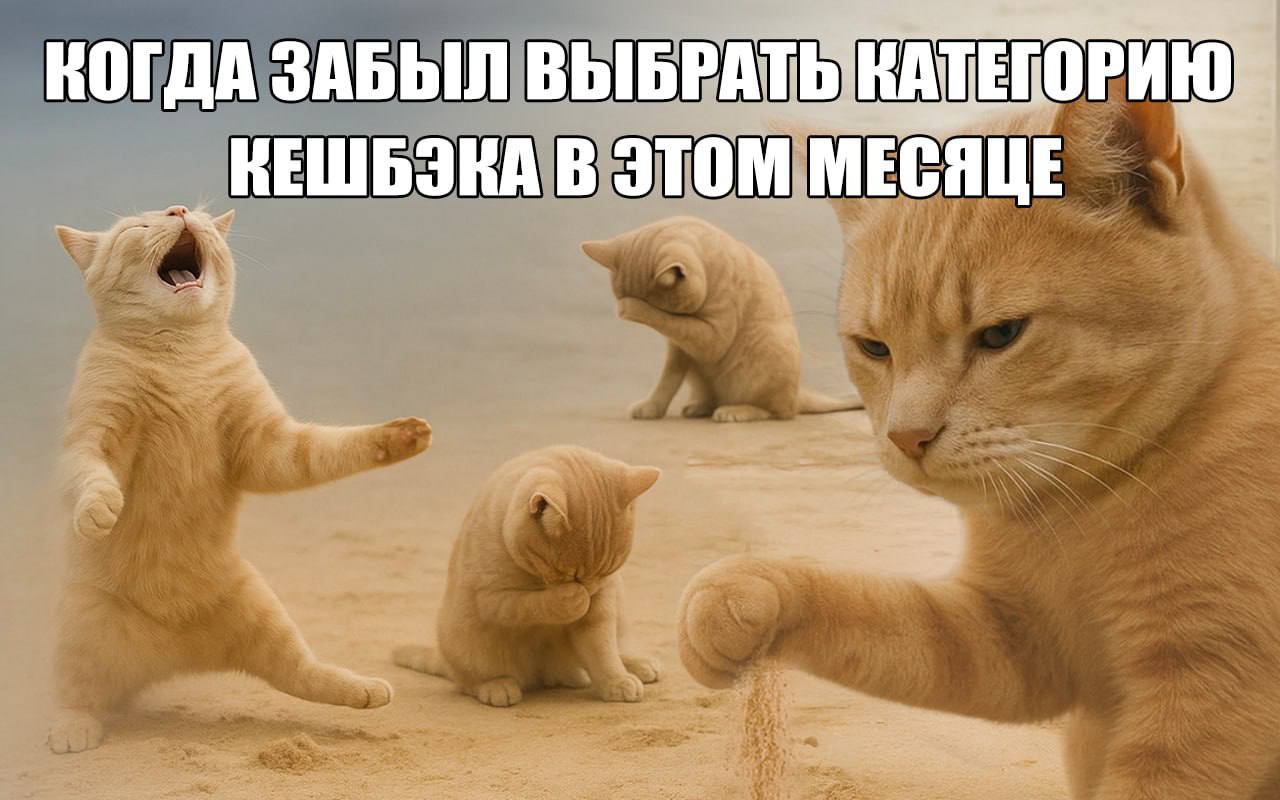 Окак! То есть сейчас прямо бросить все дела и пойти выбирать категории кэшбэка в Яндекс Пэй? Ладно, котики, вдохновили.