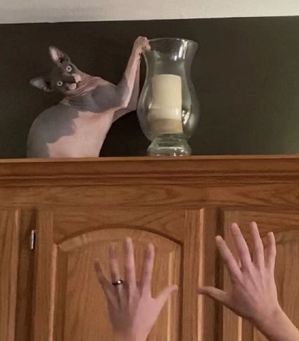 4 is