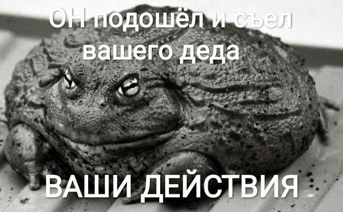 вашего деда ВАШИ ДЕЙСТВИЯ