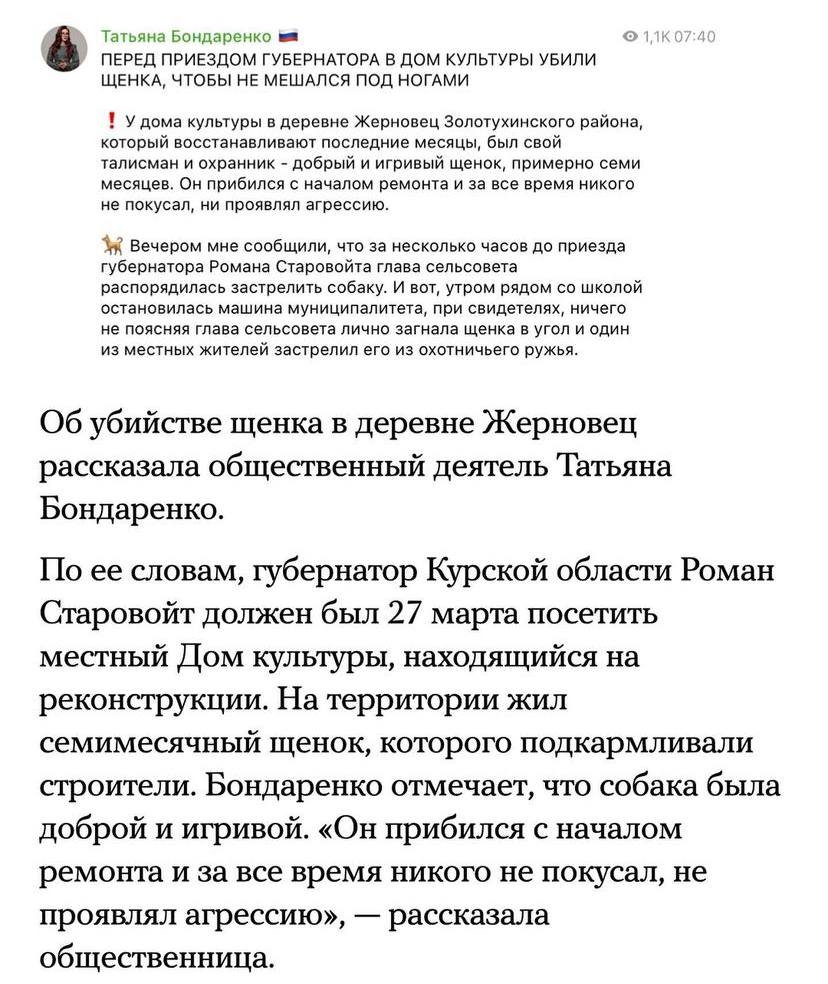 Татьяна Бондаренко ПЕРЕД ПРИЕЗДОМ ГУБЕРНАТОРА В ДОМ КУЛЬТУРЫ УБИЛИ ЩЕНКА, ЧТОБЫ НЕ МЕШАЛСЯ ПОД НОГАМИ ТГУ дома культуры в деревне Жерновец Золотухинского района который восстанавливают последние месяц