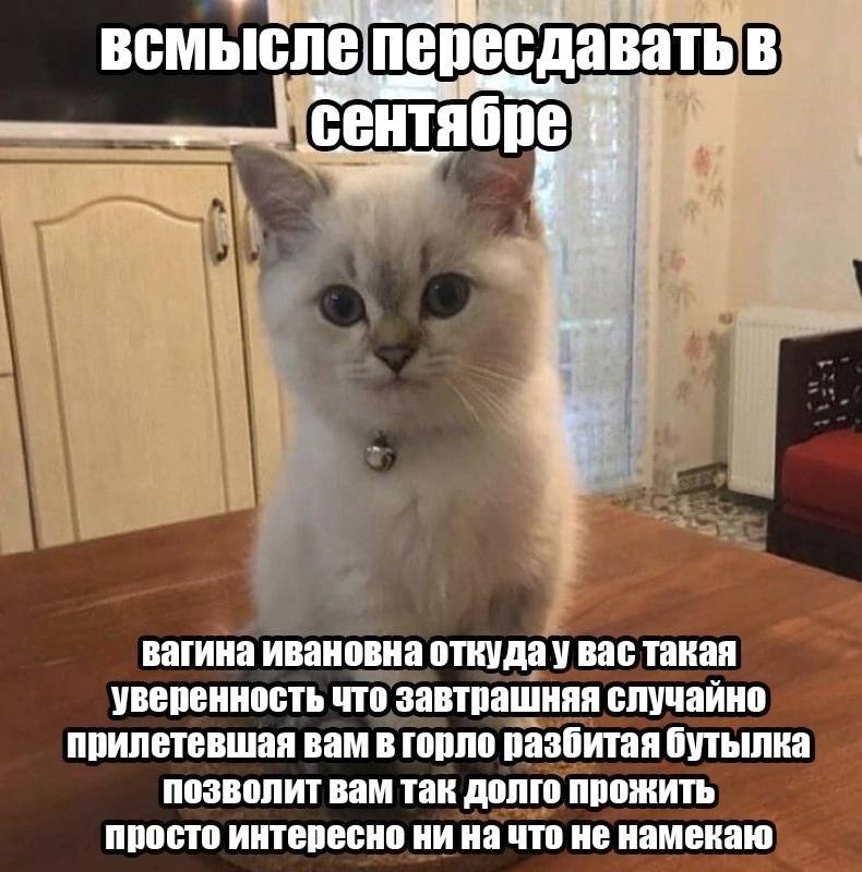 всмыслепересдавать в вагина ивановна откуда у вас такая уверенность что. завтрашняя случайно прилетевшая вам в горло разбитая бутылка позволит вам так долго прожить просто интересно ни на что не намек