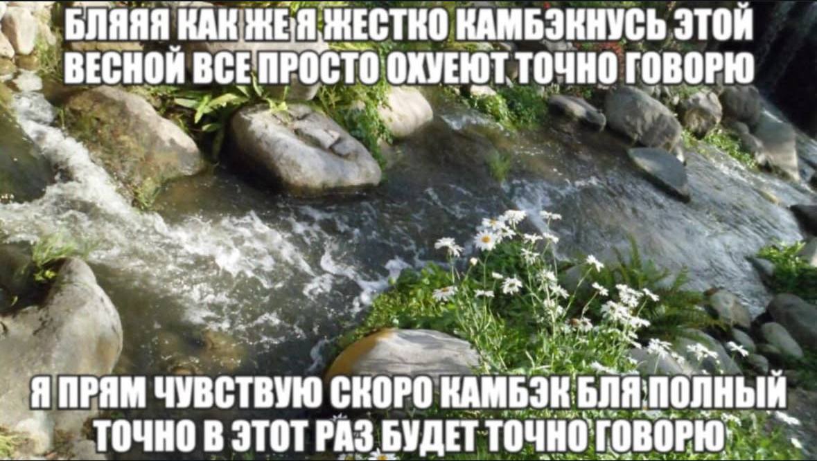 БЛЯЯЯ КАК ЖЕСТКО КАМБЭКНУСЬ ЭТОЙ ВЕСНОЙ ВСЕ ПРОСТО ОХУЕЮТ ТОЧНО ГОВОРЮ aN i 4 7 А ЯПРЯМ ЧУВСТВУЮ СКОРО KAMB3K ТОЧНО В ЭТОТ РАЗ БУДЕТ