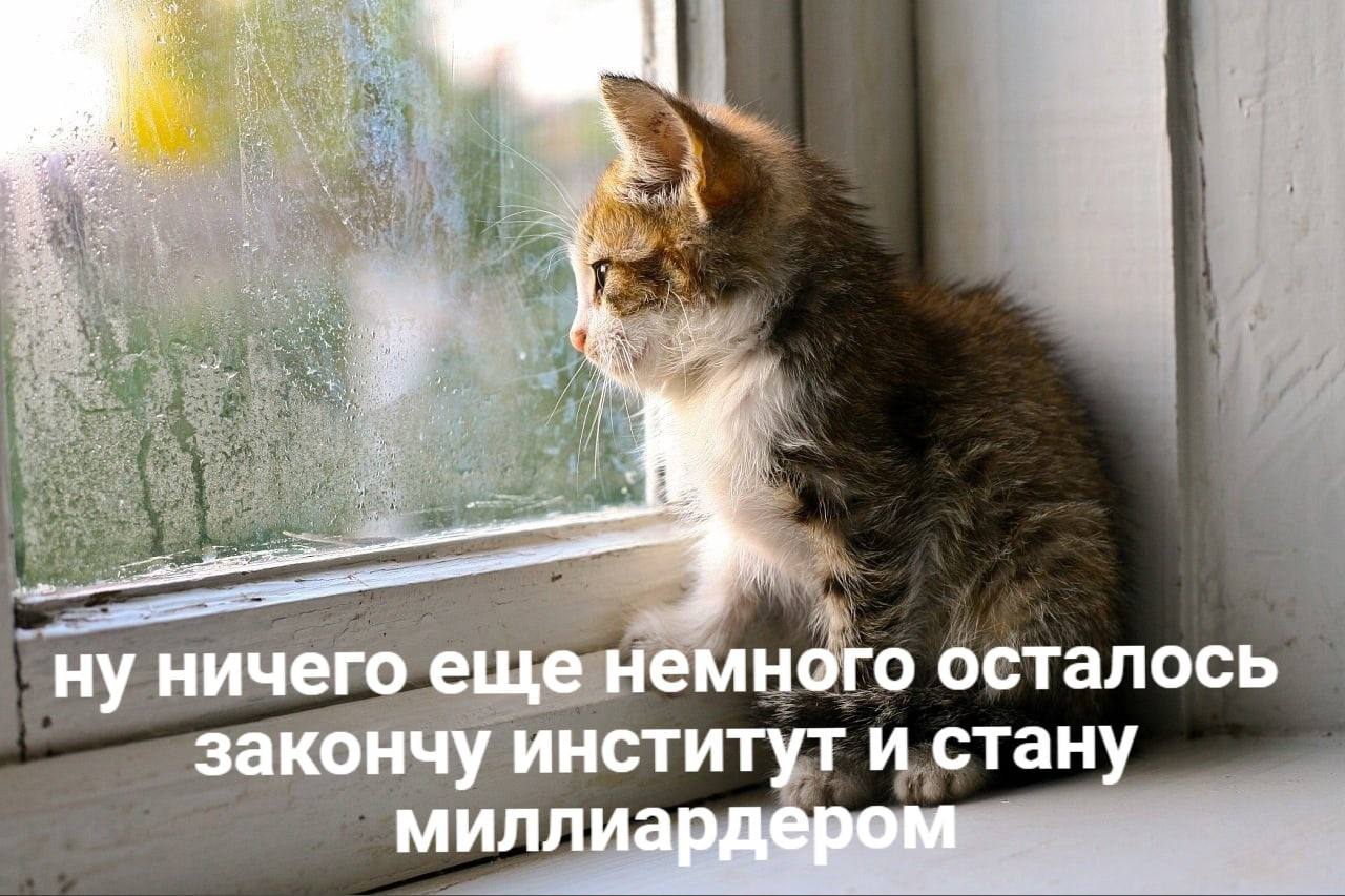 3 pee 1! it ну ничего еще немного осталось закончу институт и стану миллиардером
