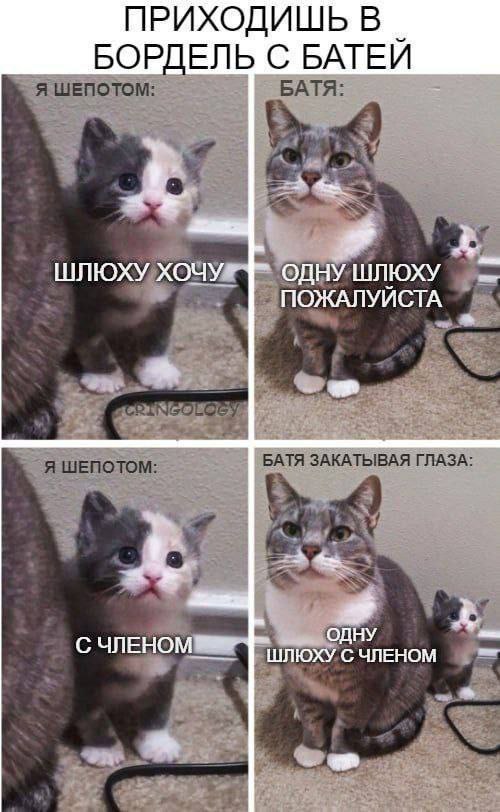 ПРИХОДИШЬ В БОРДЕЛЬ С БАТЕИ Я ШЕПОТОМ БАТЯ ШЛЮХУ ХОЧУ. (0) ШЛЮХУ БАТЯ ЗАКАТЫВАЯ ГЛАЗА Я ШЕПОТОМ С ЧЛЕНО ШЛЮХУ С ЧЛЕНОМ wre