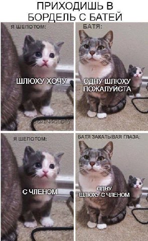 ПРИХОДИШЬ В БОРДЕЛЬ С БАТЕИ Я ШЕПОТОМ БАТЯ ШЛЮХУ ХОЧУ. (0) ШЛЮХУ БАТЯ ЗАКАТЫВАЯ ГЛАЗА Я ШЕПОТОМ С ЧЛЕНО ШЛЮХУ С ЧЛЕНОМ wre