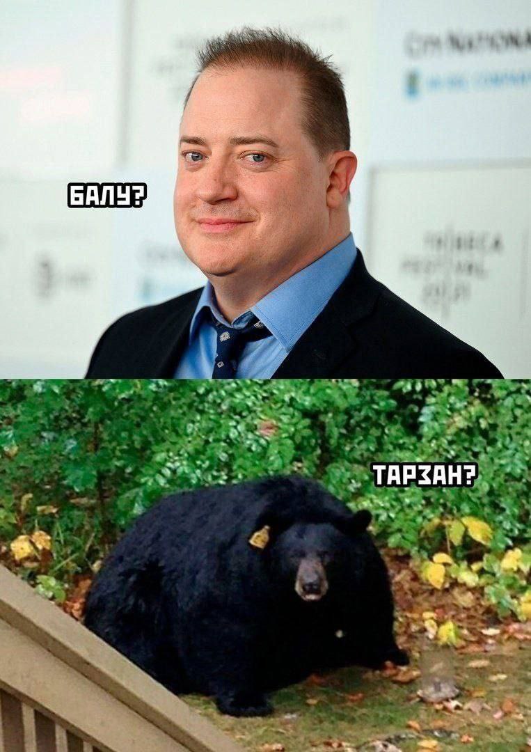 a Ser. on A В