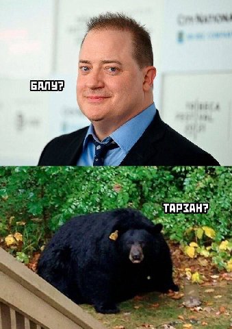 a Ser. on A В