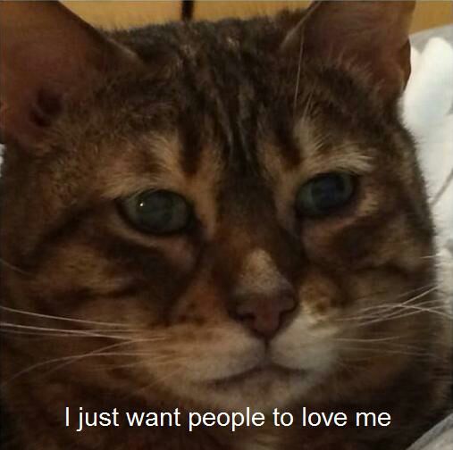 just want people to love