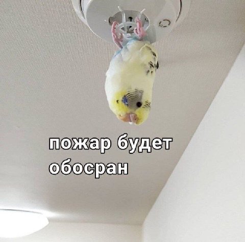пожар обосран