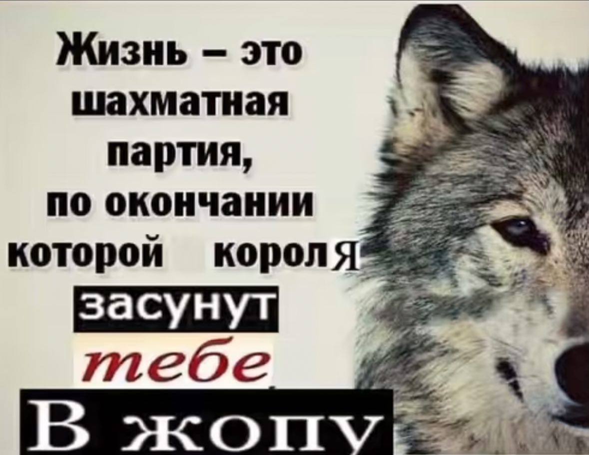 Жизнь это шахматная 4 партия, по окончании которой короля тебе В жоп