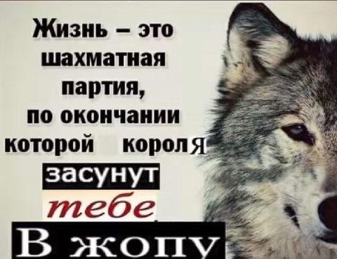 Жизнь это шахматная 4 партия, по окончании которой короля тебе В жоп