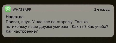 WHATSAPP 24 назад Надежда Привет, внук. У нас все по старому. Только потихоньку наши друзья умирают. Как ты? Как учеба? Как настроение?