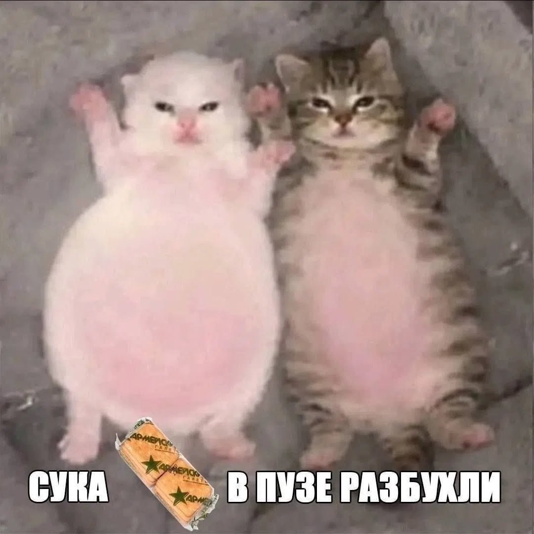 В ПУЗЕ РАЗБУХЛИ