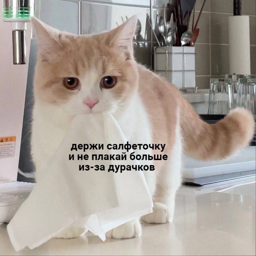 2 a держи салфеточку и не плакай больше из-за дурачков