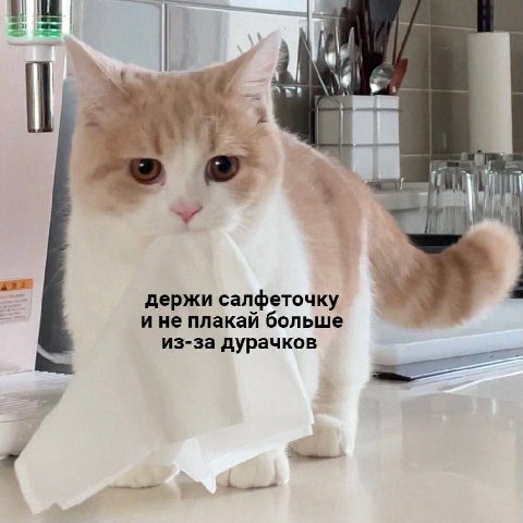 2 a держи салфеточку и не плакай больше из-за дурачков