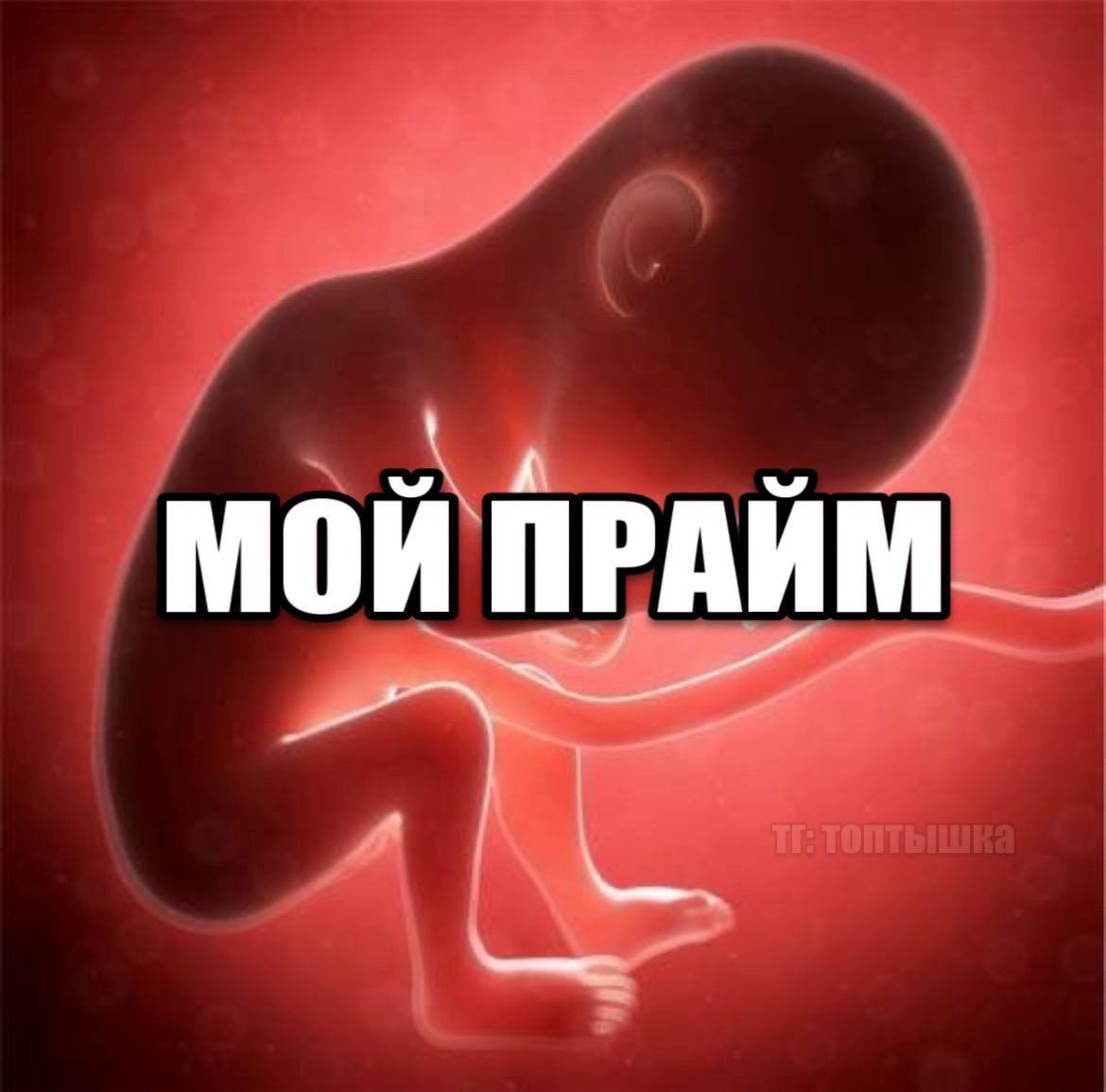 мой ПРАЙМ