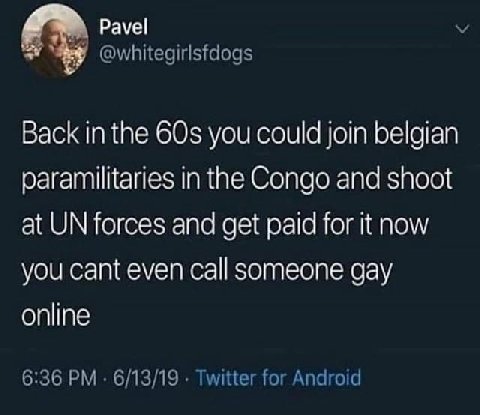Pavel @whitegirlsfdogs Back inthe 60$ you could join belgian paramilitaries in the Congo and shoot at forces and get paid for it now you cant even call someone gay online 6:36 6/13/19 Twitter for Andr
