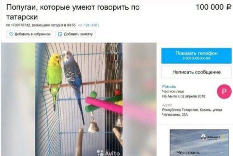 Попугаи, которые умеют говорить по 100 000 татарски 1709778732, размещено сегодня в 00:55 4 (+98) Добавить в избранное Добавить заметку Показать телефон Написать сообщение Рамиль Частное пицо На Авито