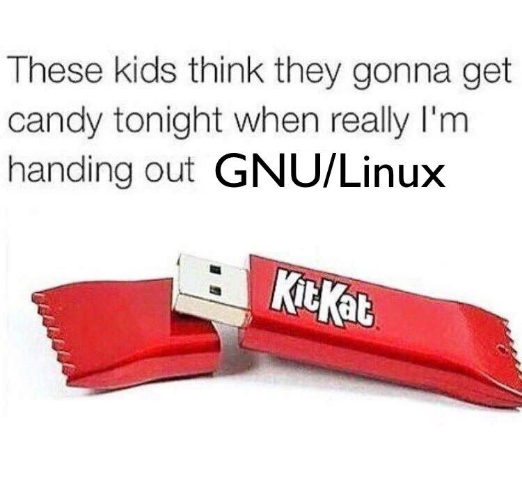 These kids think they gonna get candy tonight when really handing out GNU/Linux