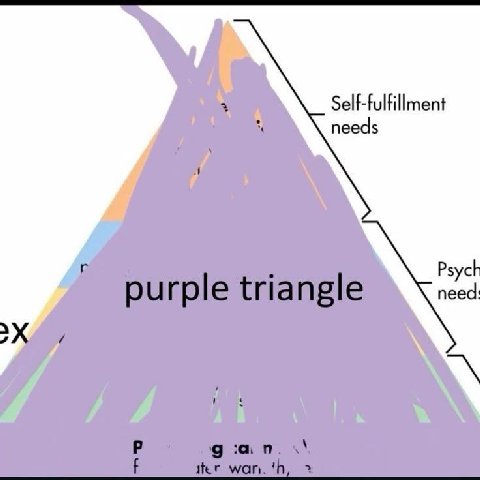 Self-fulfillment needs Psyc need