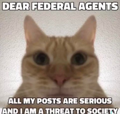 AGENTS ALL MY POSTS ARE SERIOUS AND А THREAT TO SOCIET'