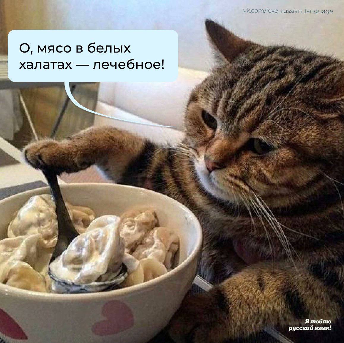 О, мясо в белых халатах лечебное! у 4, Ялюблю русский язык!