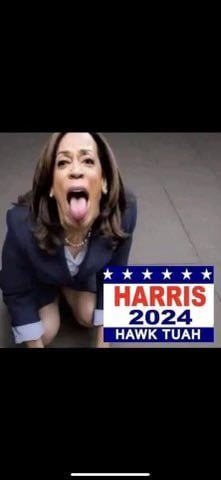 HARRIS 2024 HAWK TUAH